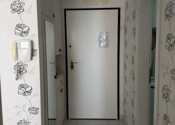 아파트맨 도리스 *